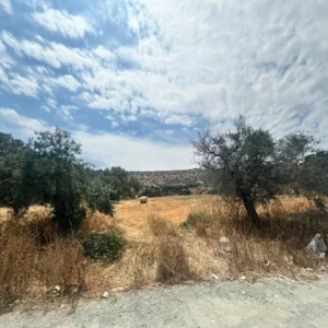 6,292m² Plot for Sale in Agios Tychonas, Limassol District