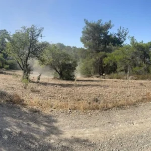 12,394m² Plot for Sale in Doros, Limassol District