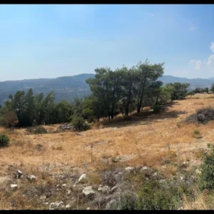 12,394m² Plot for Sale in Doros, Limassol District