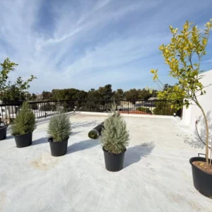 3 Bedroom Apartment for Sale in Geroskipou, Paphos District