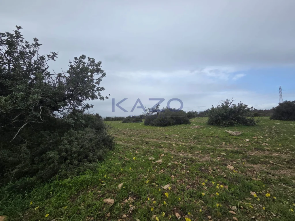 6,000m² Plot for Sale in Pentakomo, Limassol District