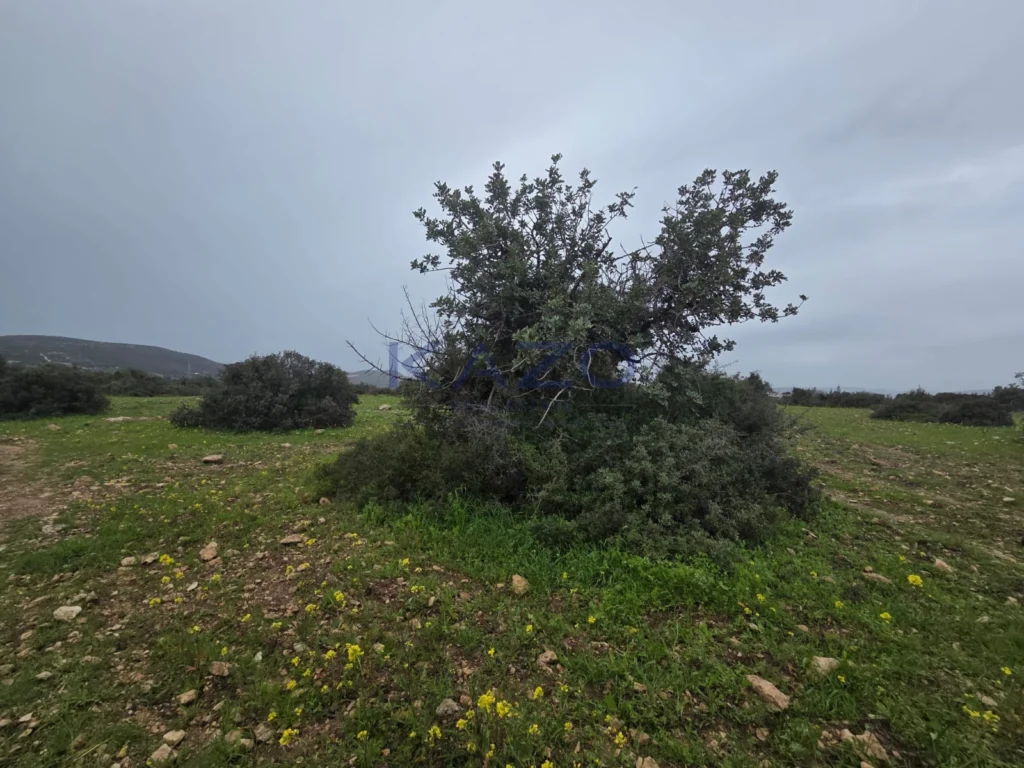 6,000m² Plot for Sale in Pentakomo, Limassol District