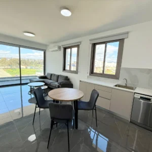 2 Bedroom Apartment for Rent in Kato Polemidia, Limassol District