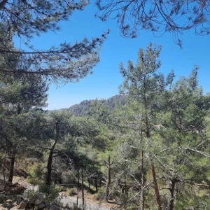 21,690m² Plot for Sale in Moniatis, Limassol District