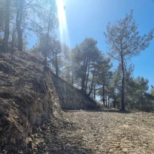 21,690m² Plot for Sale in Moniatis, Limassol District