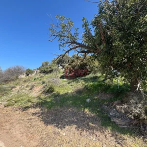 1,137m² Plot for Sale in Akrounta, Limassol District