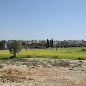 21,147m² Plot for Sale in Erimi, Limassol District