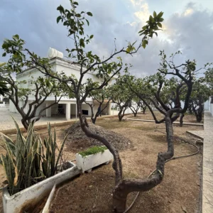 3 Bedroom House for Rent in Limassol – Kapsalos