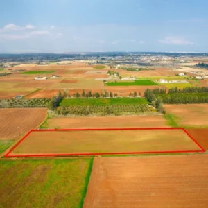 9,600m² Plot for Sale in Frenaros, Famagusta District