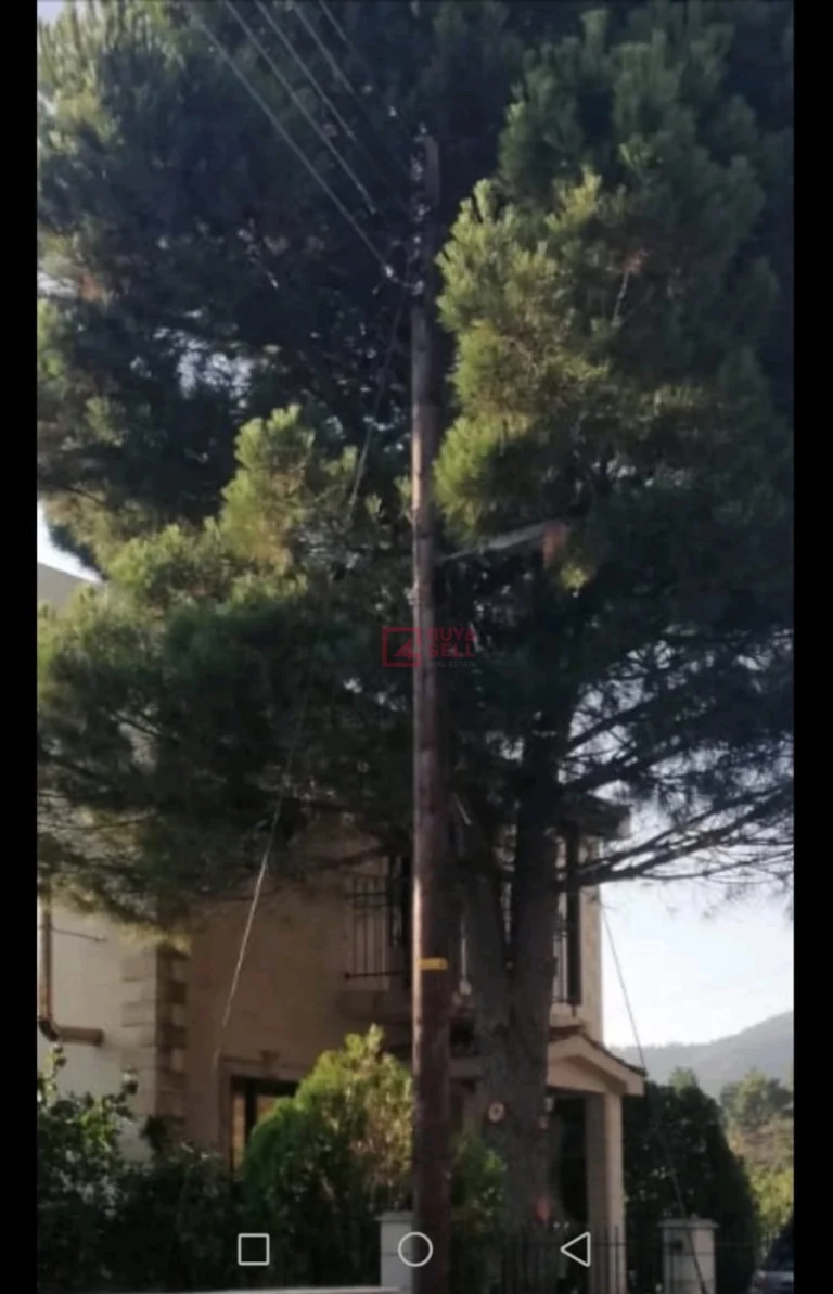 Average Price of a House in Limassol