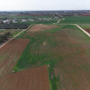 8,731m² Plot for Sale in Xylofagou, Larnaca District