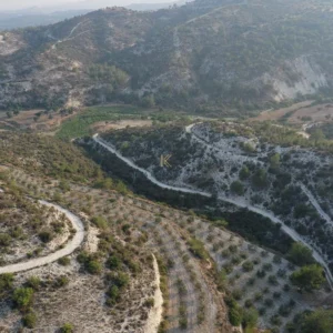 11,372m² Plot for Sale in Kato Drys, Larnaca District