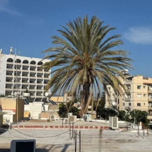 3 Bedroom House for Rent in Limassol – Agios Nektarios