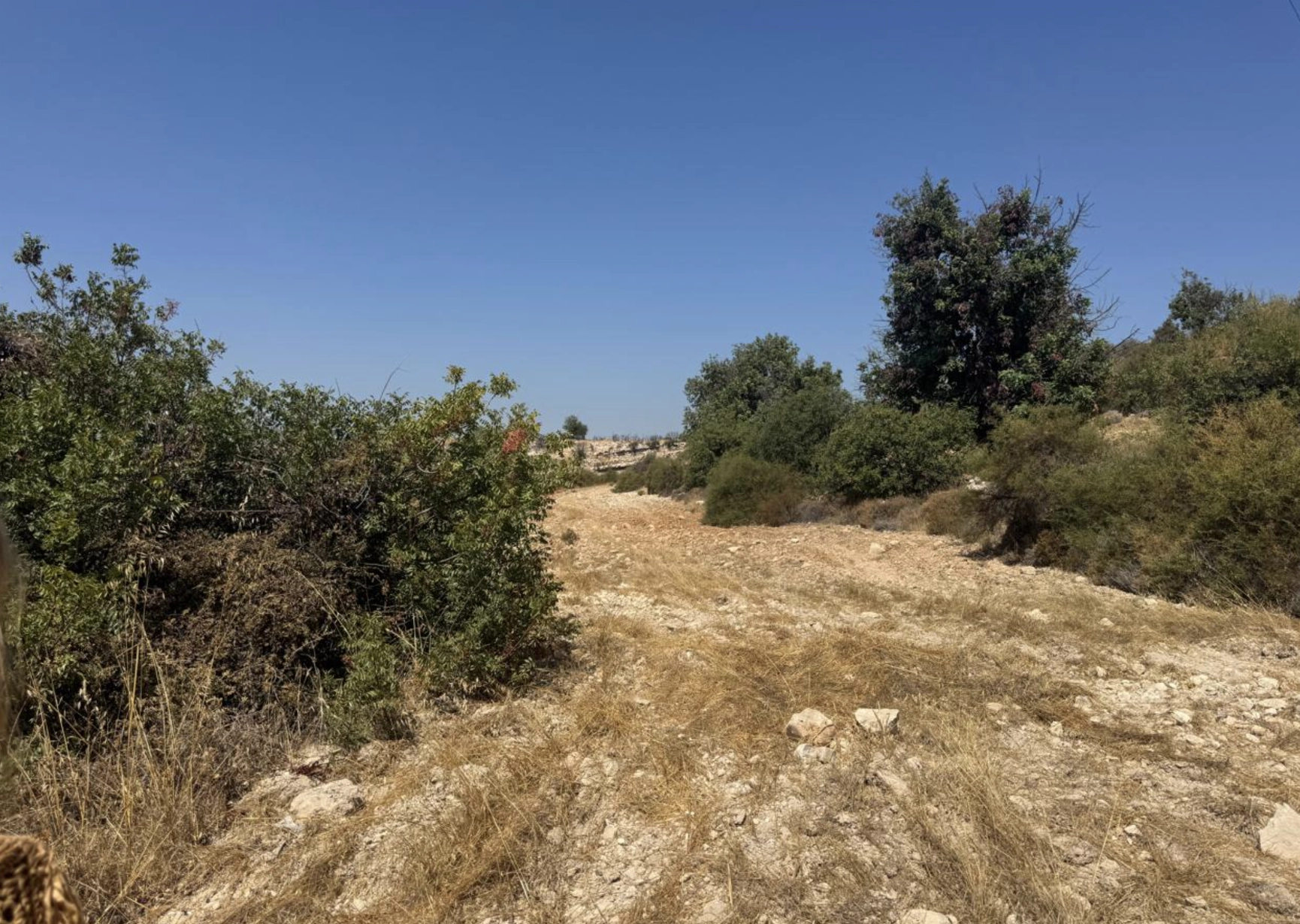 36,996m² Plot for Sale in Apesia, Limassol District