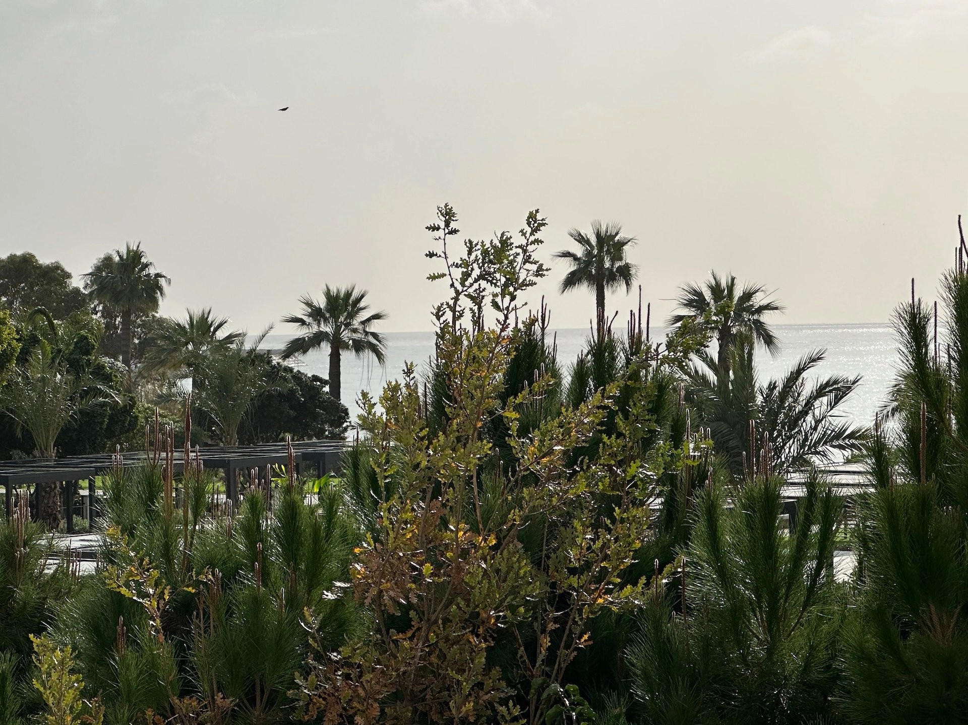 5 Bedroom House for Rent in Amathounta, Limassol District