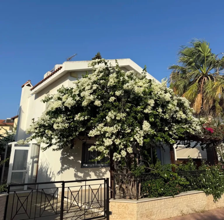 Cheap Houses and Villas for Rent Famagusta