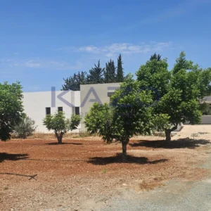 4 Bedroom House for Sale in Ypsonas, Limassol District