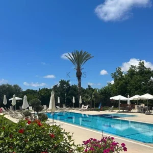 2000m² Building for Sale in Chlorakas, Paphos District