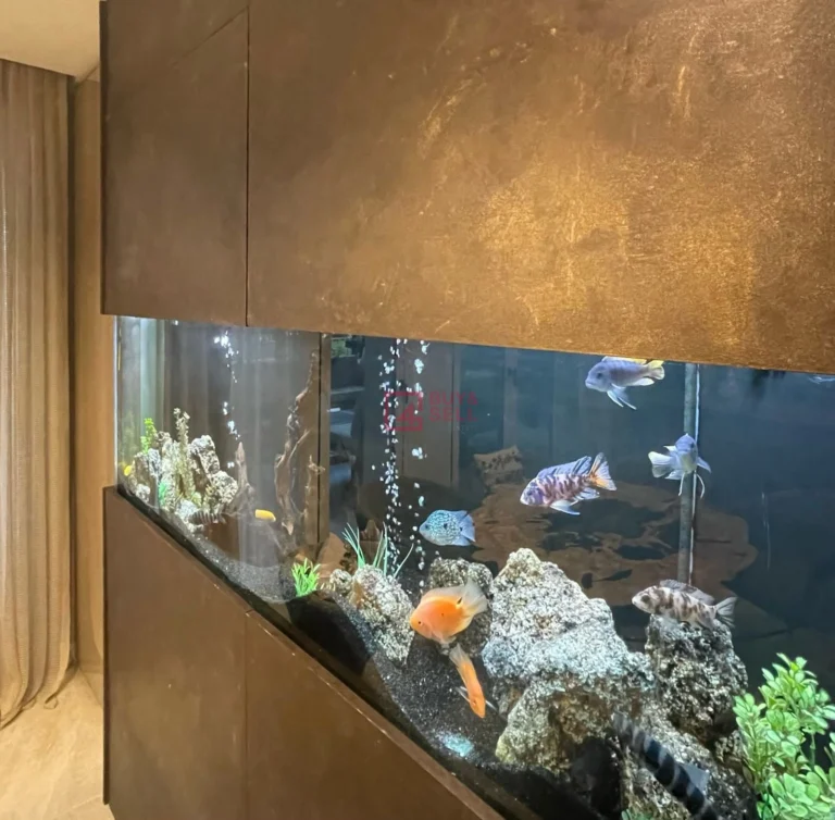 Cheap Houses and Villas for Sale Limassol up to 1000000 euro