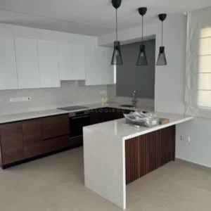 2 Bedroom Apartment for Rent in Aradippou, Larnaca District
