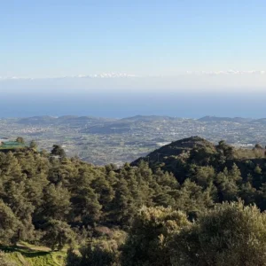 8,392m² Plot for Sale in Kellaki, Limassol District