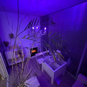 2 Bedroom Apartment for Rent in Limassol – Kapsalos