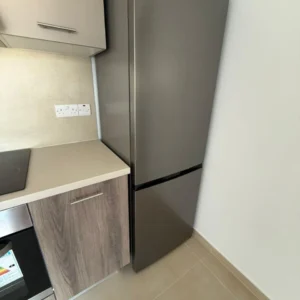 1 Bedroom Apartment for Rent in Aglantzia, Nicosia District