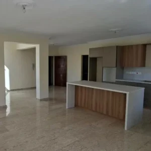 4 Bedroom Apartment for Rent in Agioi Omologites, Nicosia District
