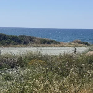 15,592m² Plot for Sale in Moni, Limassol District