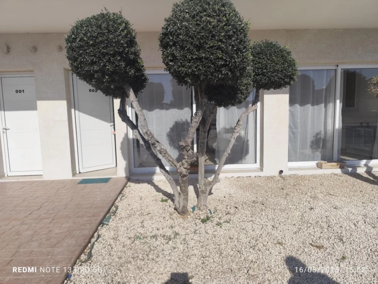 Flat for rent Limassol 500 euro