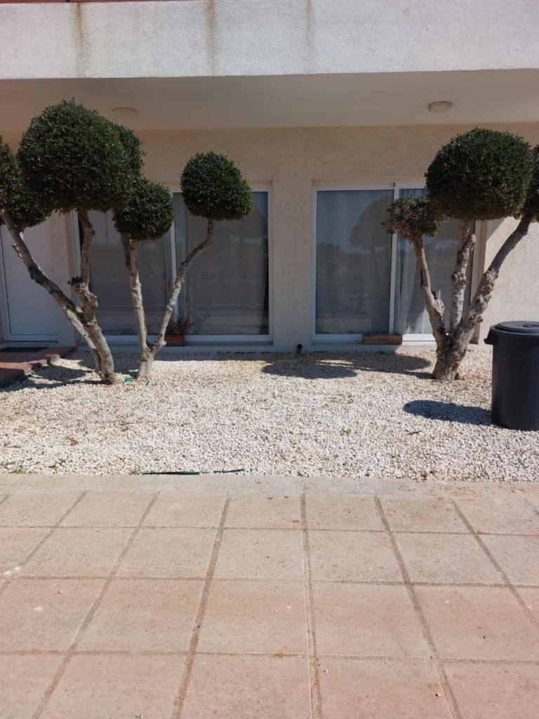 Flat for rent Limassol 500 euro