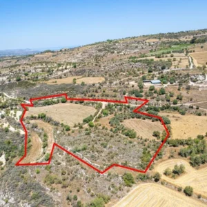 29,098m² Plot for Sale in Paphos District