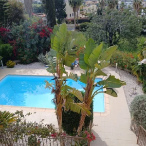 3 Bedroom House for Rent in Pegeia, Paphos District