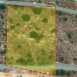 8,027m² Plot for Sale in Pyrgos Lemesou, Limassol District