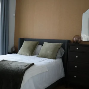 2 Bedroom Apartment for Rent in Agioi Omologites, Nicosia District