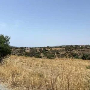 9,758m² Plot for Sale in Pyrgos Lemesou, Limassol District