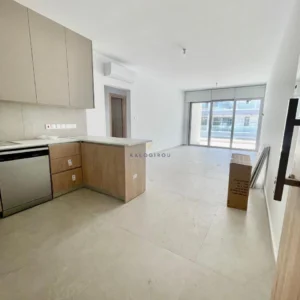 2 Bedroom Apartment for Rent in Larnaca District
