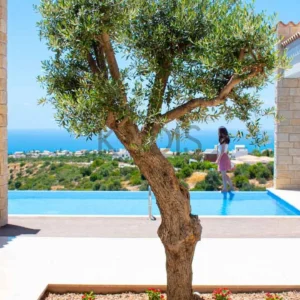3 Bedroom House for Sale in Aphrodite Hills, Paphos District