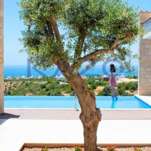 3 Bedroom House for Sale in Paphos District