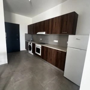 1 Bedroom Apartment for Rent in Aglantzia, Nicosia District