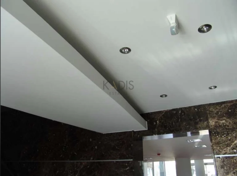 Commercial Properties