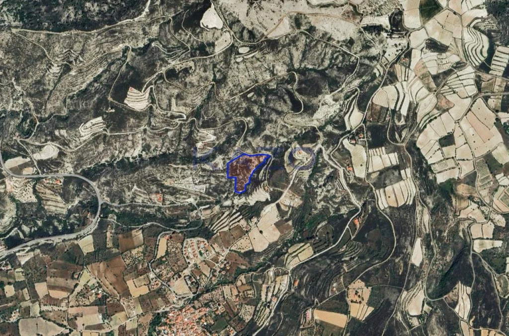 19,675m² Plot for Sale in Laneia, Limassol District