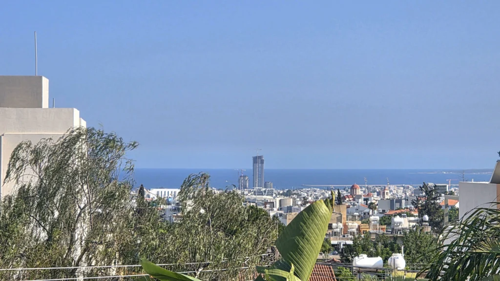 347m² House for Rent in Limassol District