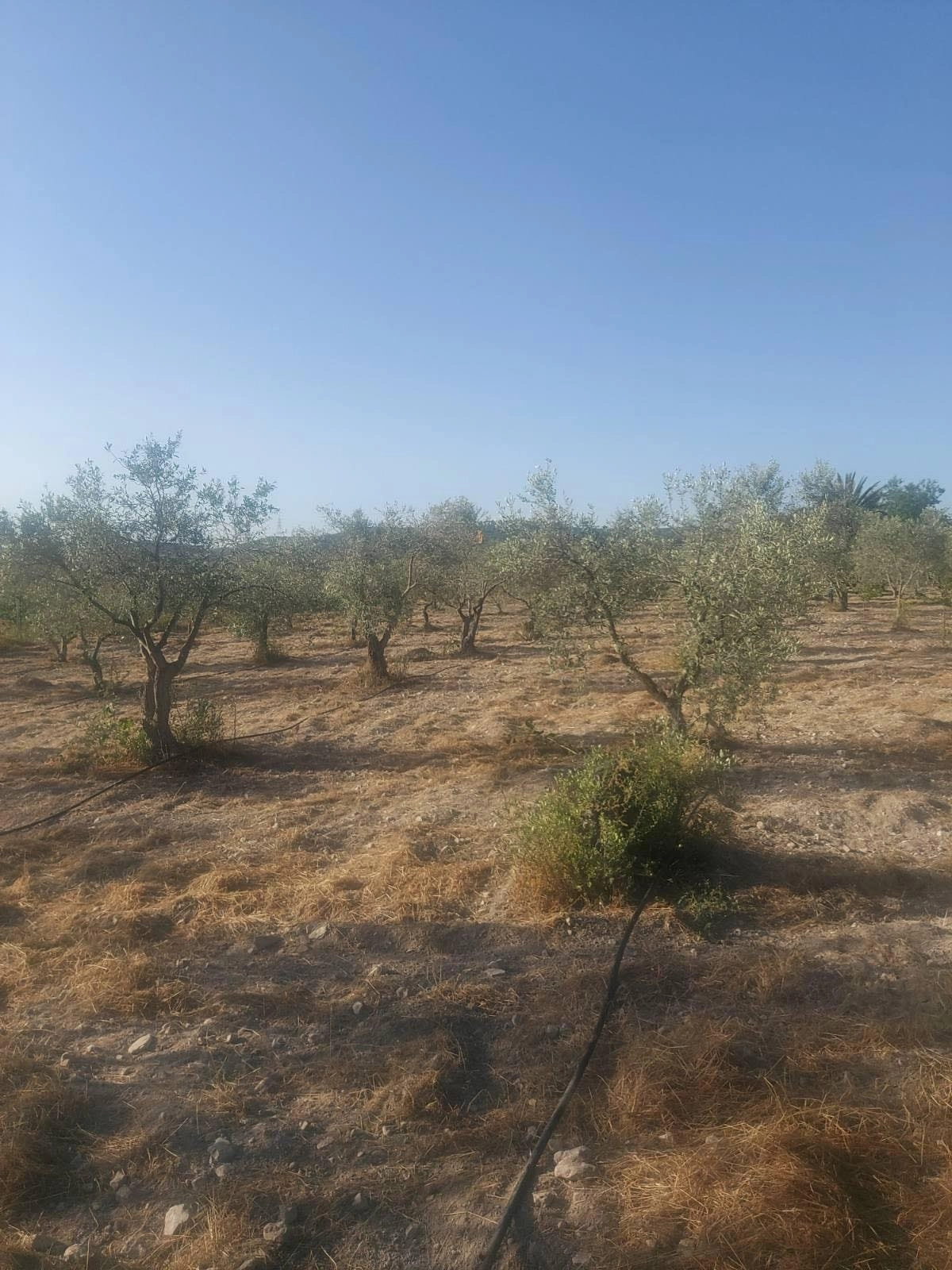 1,600m² Plot for Sale in Skarinou, Larnaca District