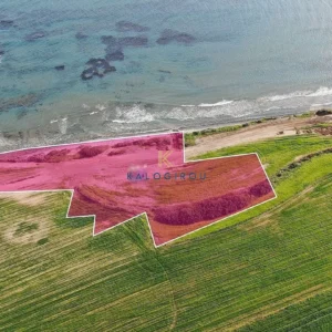 5,352m² Plot for Sale in Mazotos, Larnaca District