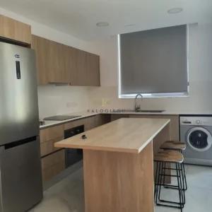 2 Bedroom Apartment for Rent in Larnaca District