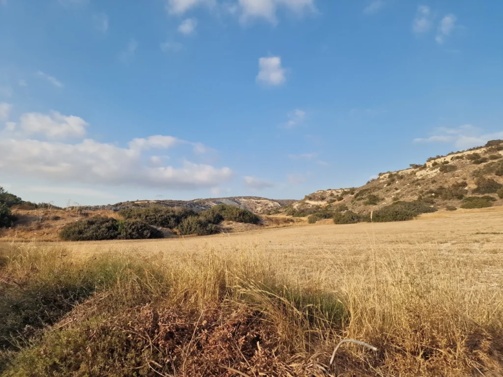 9,840m² Plot for Sale in Moni, Limassol District