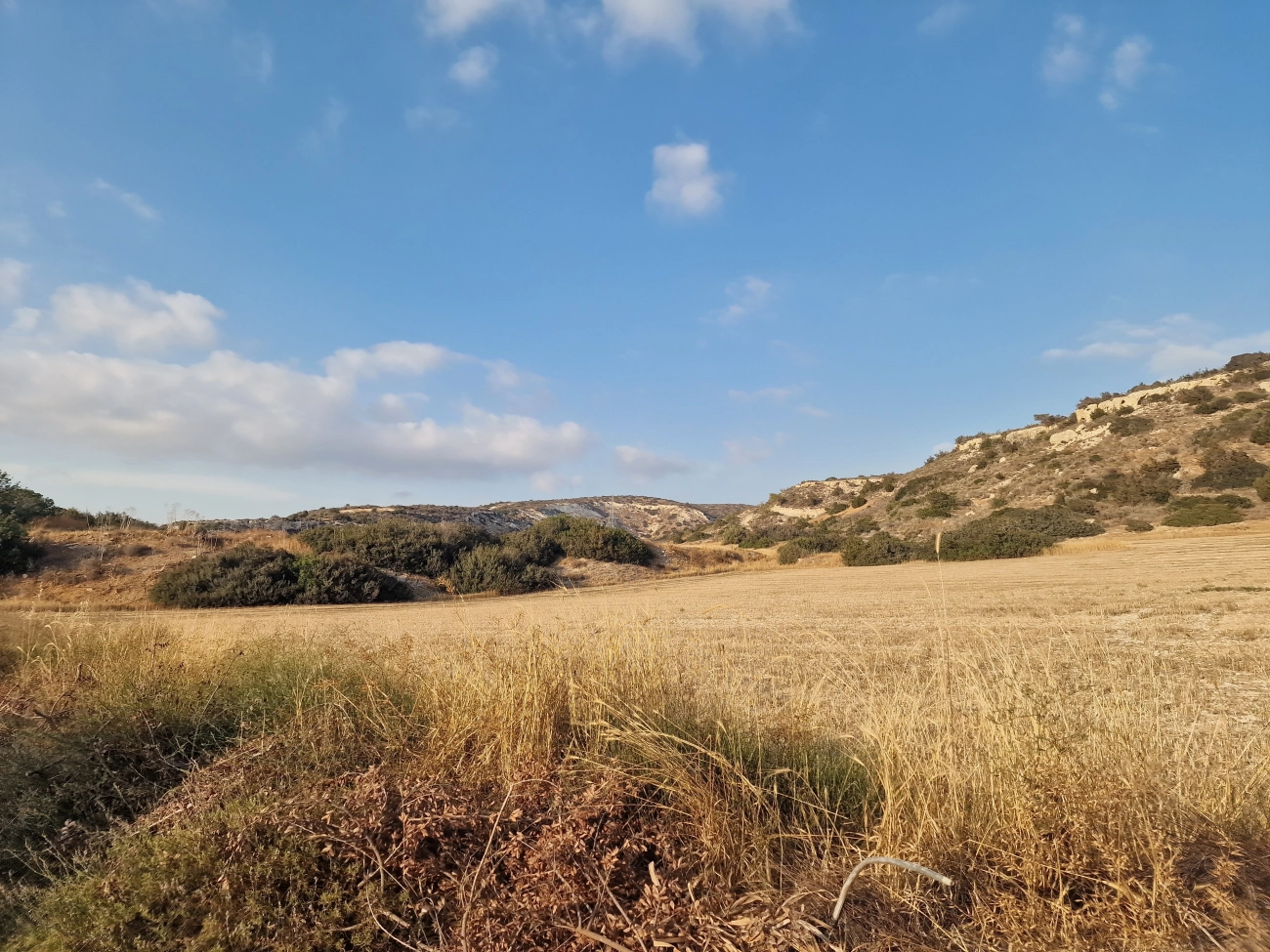 9,840m² Plot for Sale in Moni, Limassol District