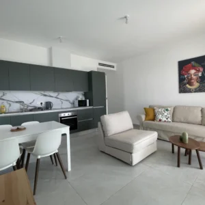 1 Bedroom Apartment for Rent in Larnaca – Chrysopolitissa