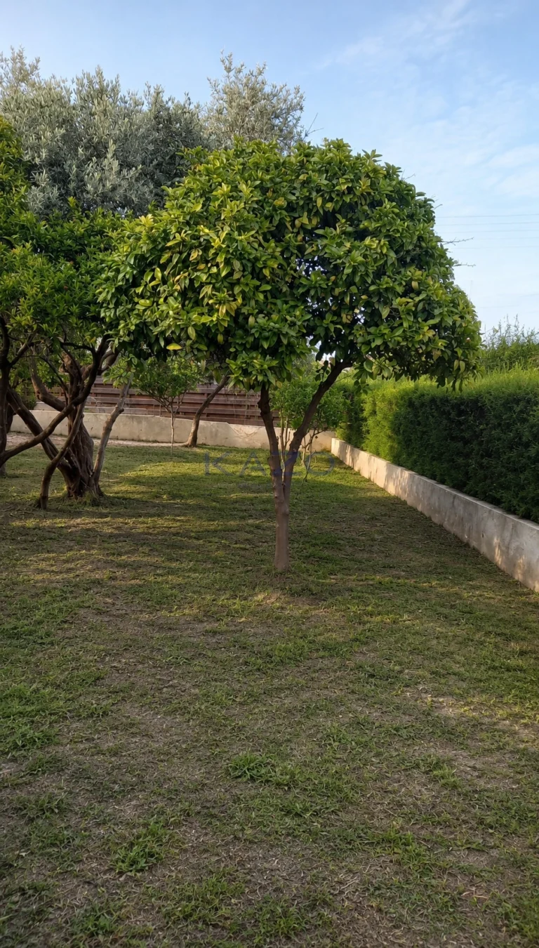Cheap Houses and Villas for Sale Limassol up to 300000 euro